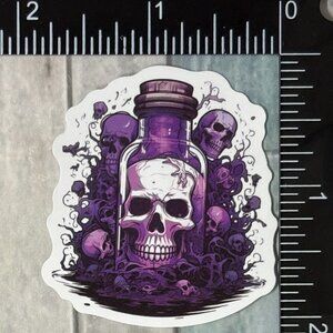 🌀10/$10🌀 Moonlit Purple Gothic Skull Reusable Waterproof Vinyl Sticker Decal